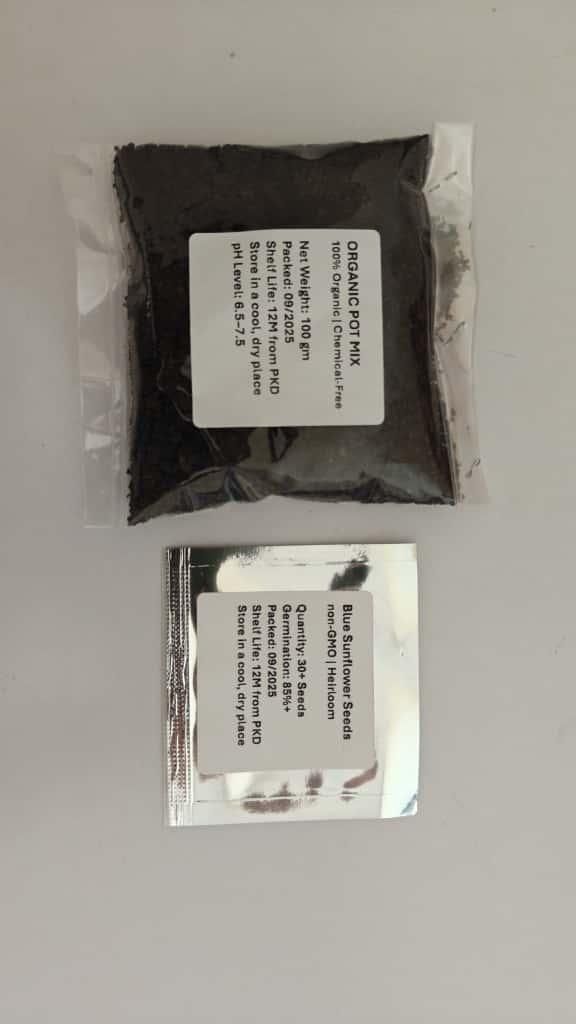 Blue Flame Sunflower Seeds + 100 Grams Organic Pot Mix Free