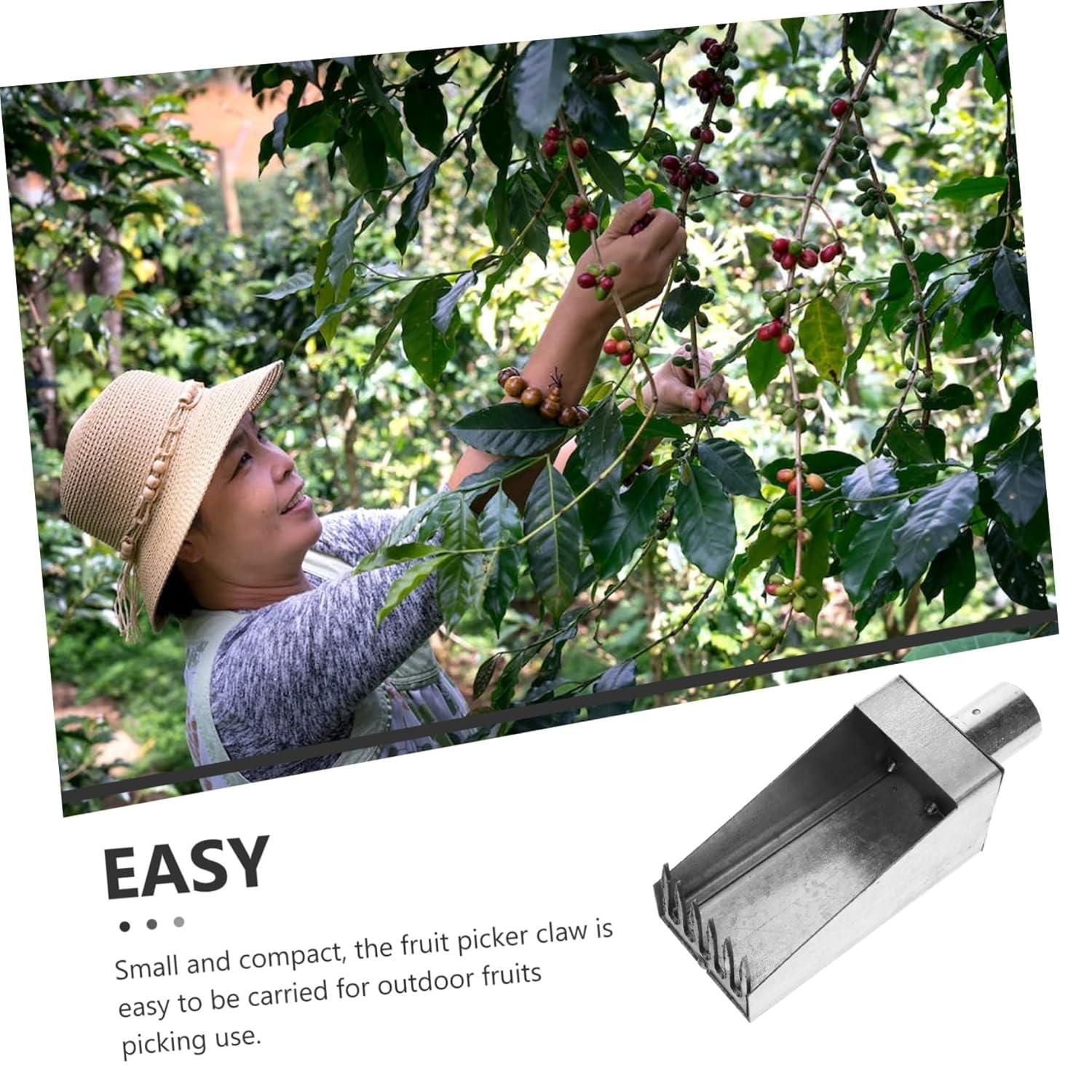 Silver Fruit Picker Tool